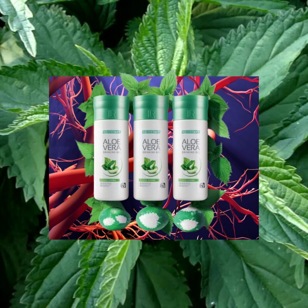 Tajomný zázrak pre zdravie ciev